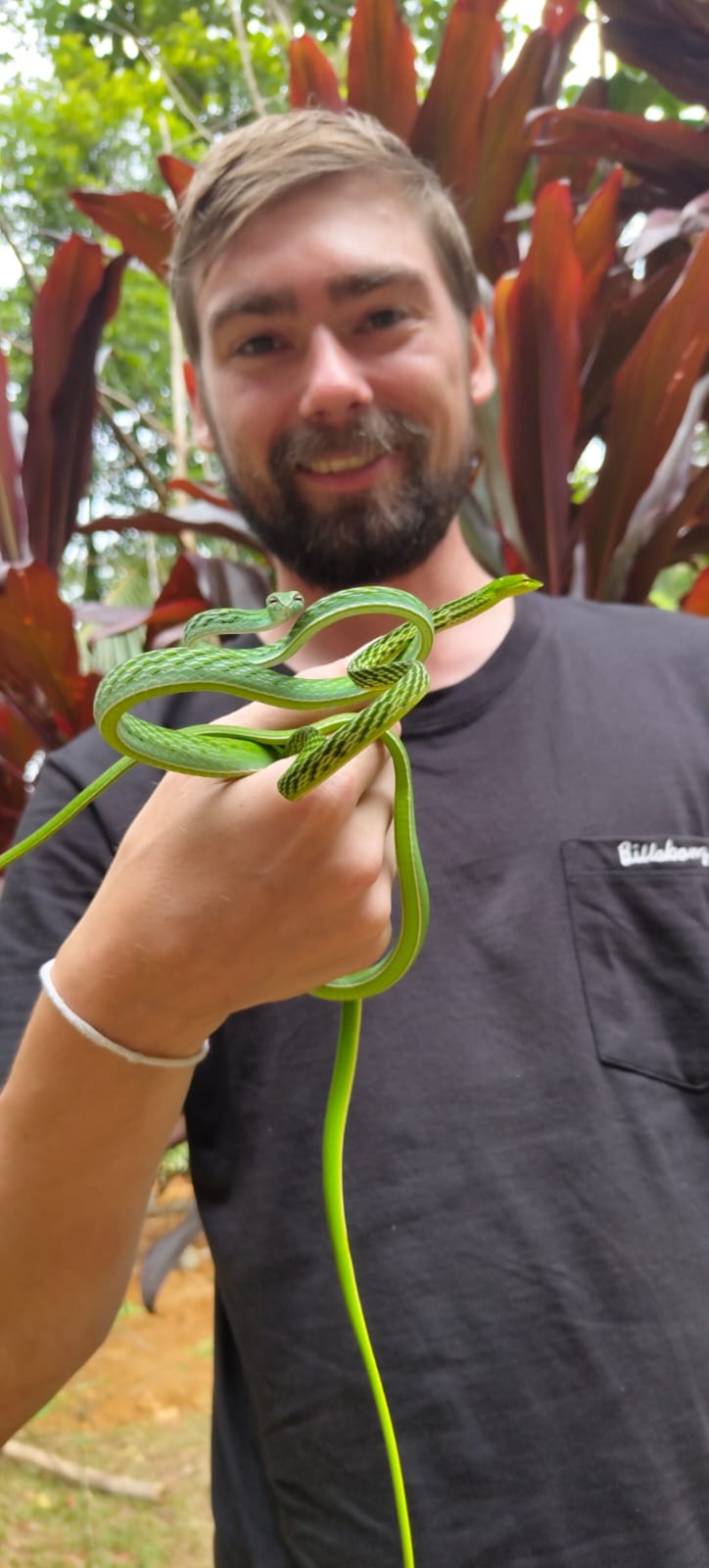 Why Lankagama Is the Best Hidden Entrance to the Sinharaja Rainforest